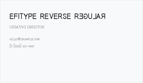 EFITYPE REVERSE Regular Business Card
