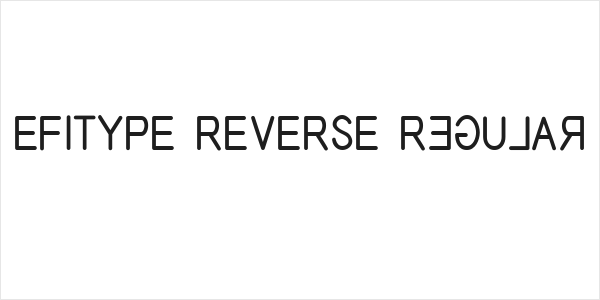 EFITYPE REVERSE Regular Logo