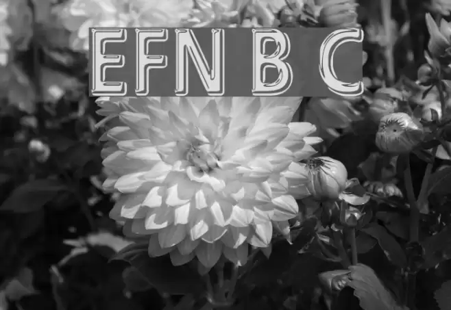 EFN Black Chrome Font examples