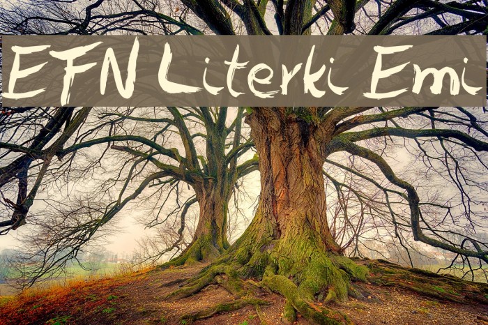EFN Literki Emi Font examples