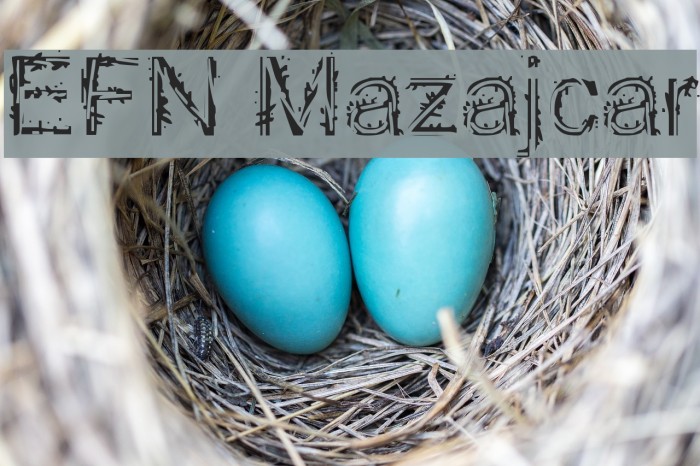 EFN Mazajcar Example 1