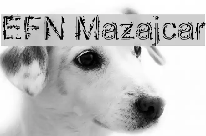 EFN Mazajcar Font examples