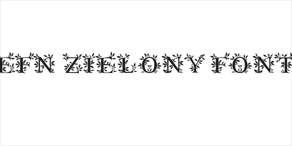 EFN Zielony Font Logo