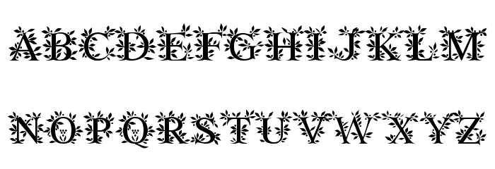 EFN Zielony Font Font LOWERCASE
