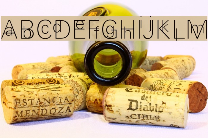 EfParasite Example 1