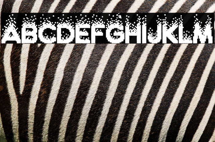 Efervescencia Programada Example 1