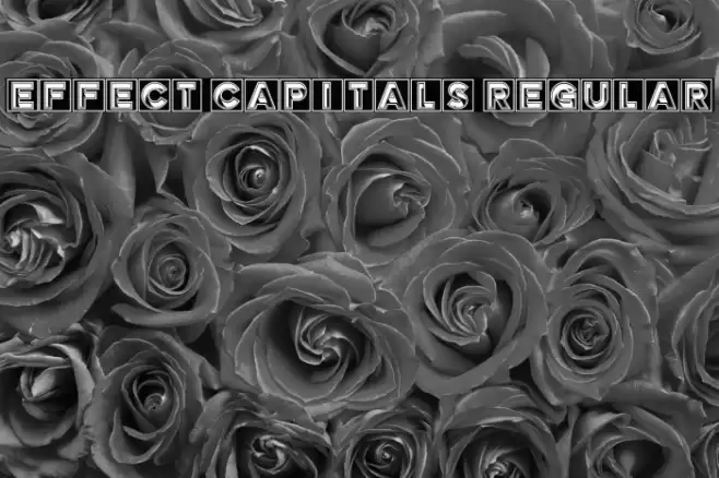 Effect Capitals Regular Fonte examples