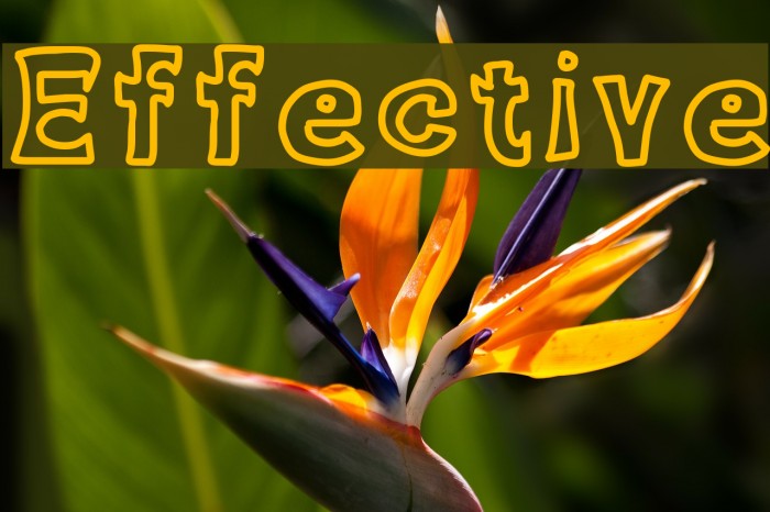 Effective Font examples
