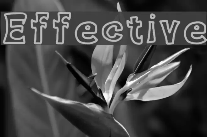 Effective Font examples