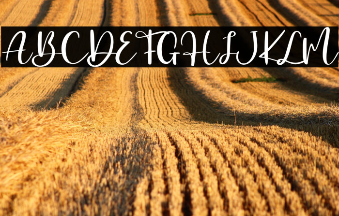 Effingham - Personal Use Example 1