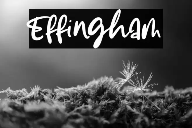 Effingham Example 3