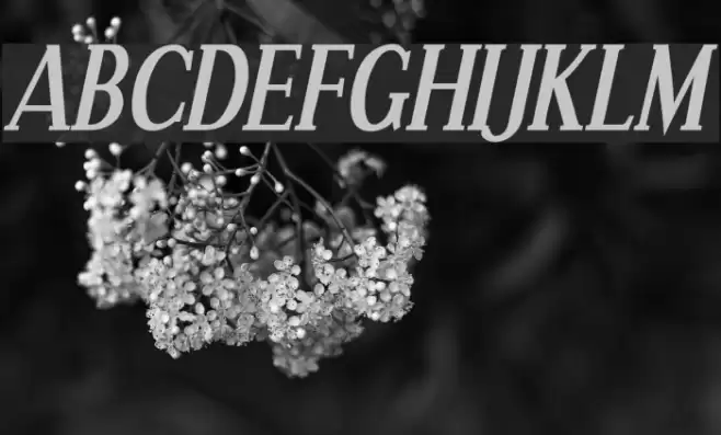 Effloresce Bold Italic Font examples