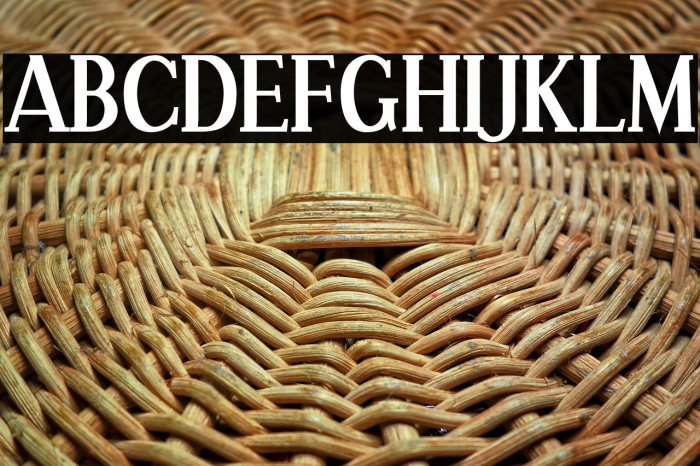 Effloresce-Bold Example 1