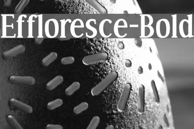 Effloresce-Bold Fonte examples