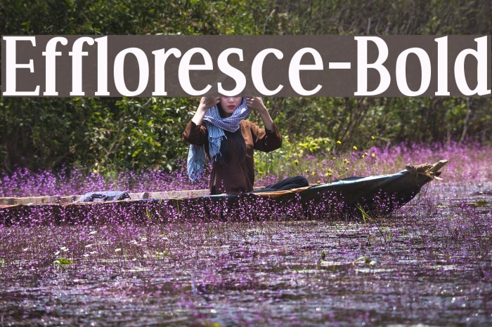 Effloresce-Bold Fonte examples