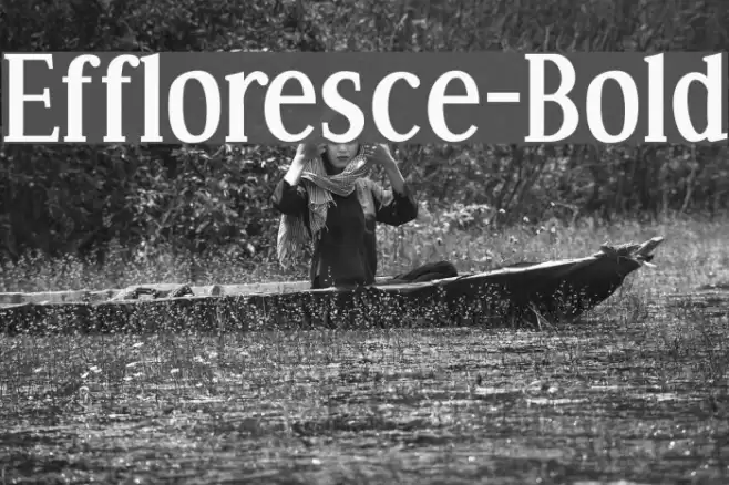 Effloresce-Bold Fonte examples