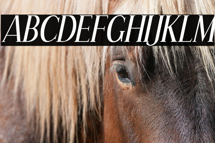 Effloresce-Italic Example 2