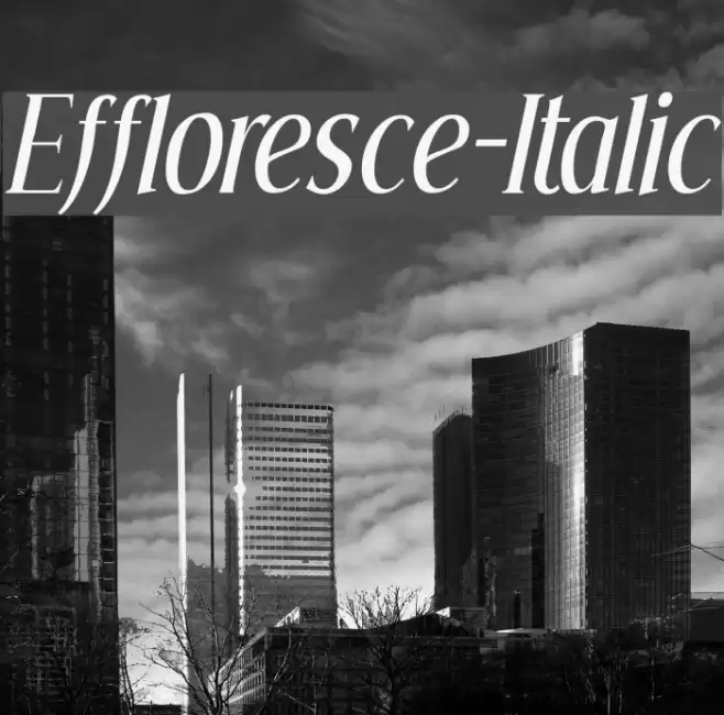 Effloresce-Italic Polices examples