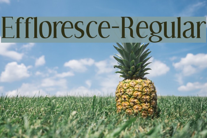 Effloresce-Regular Font examples