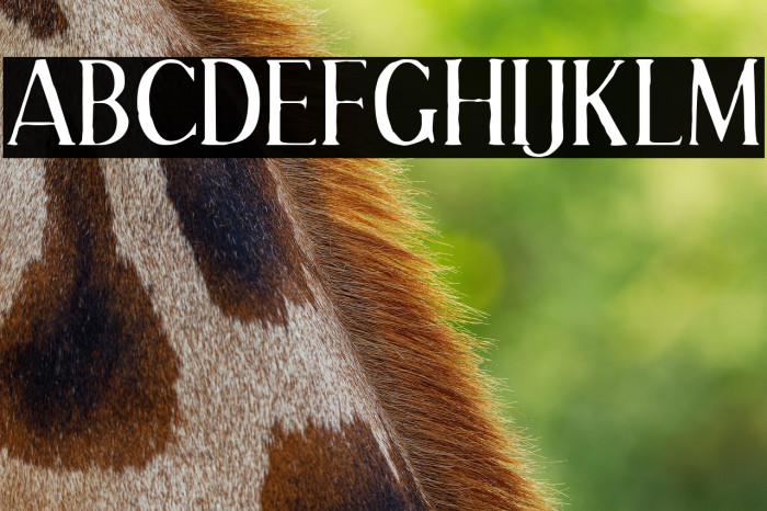 EffloresceAntique-Regular Example 1