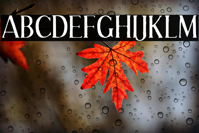 EffloresceAntique-Regular Example 2