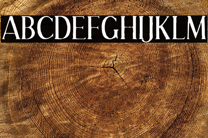 EffloresceAntique-Regular Example 3