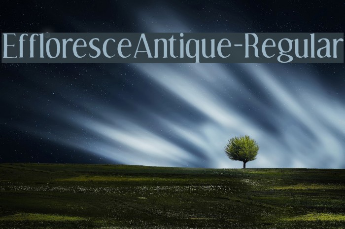 EffloresceAntique-Regular Font examples