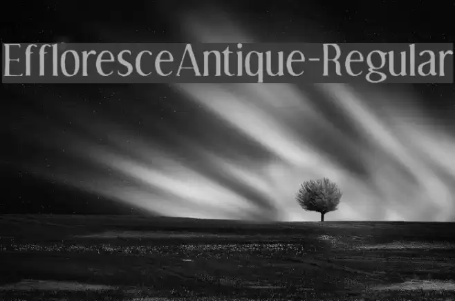 EffloresceAntique-Regular Polices examples