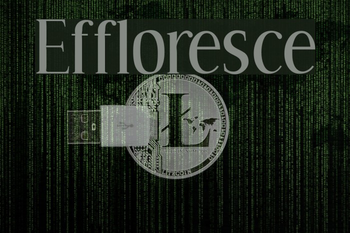 Effloresce Font examples