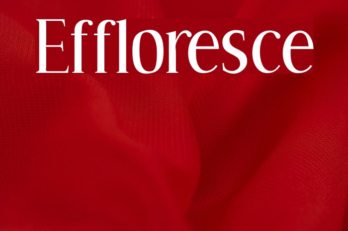 Effloresce Font examples