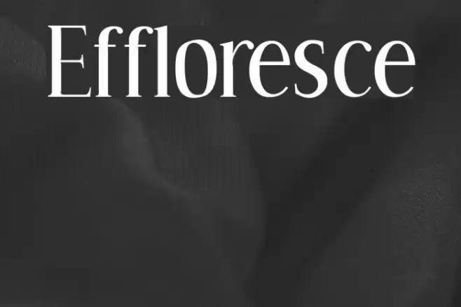 Effloresce Polices examples