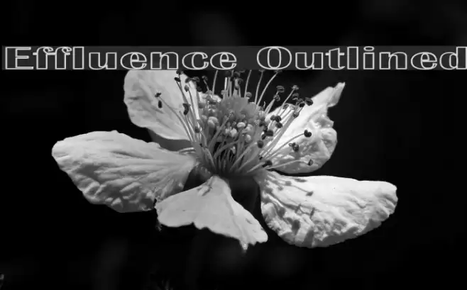 Effluence Outlined Schriftart examples