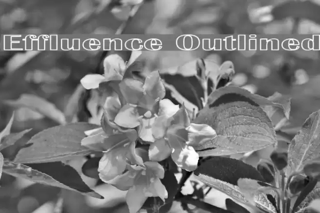 Effluence Outlined Schriftart examples
