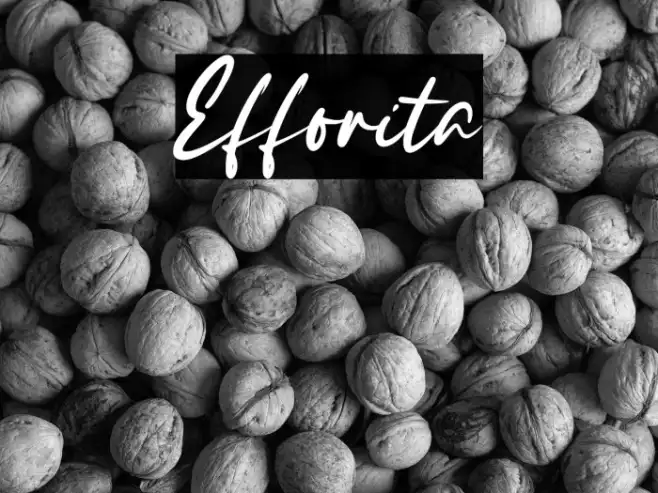Efforita Example 1