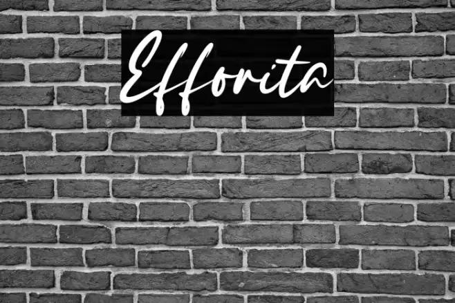 Efforita Example 2