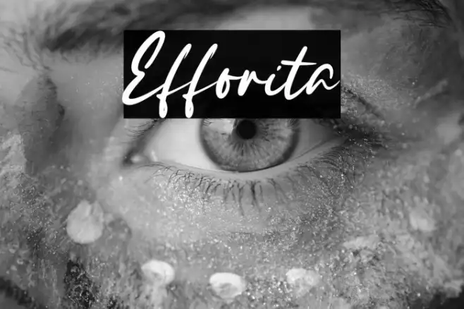 Efforita Example 3