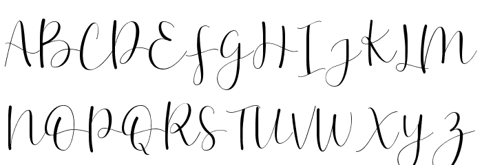 Effort-Regular Font OTHER CHARS