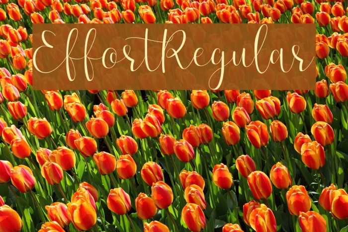 Effort-Regular Font examples