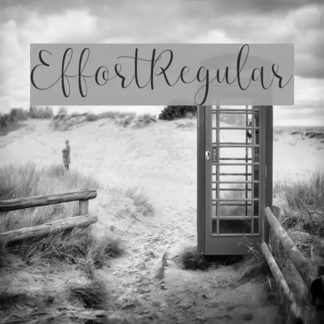 Effort-Regular Example 3