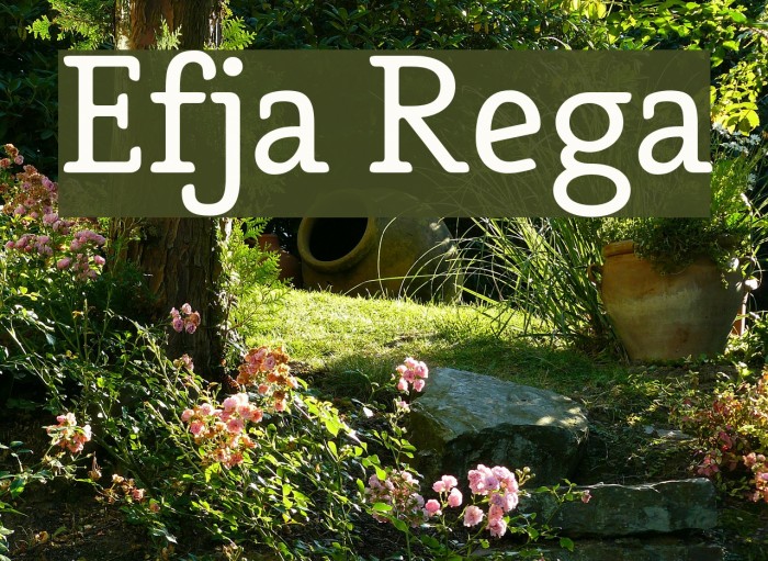 Efja Regular Font examples