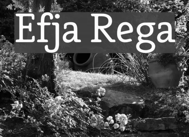 Efja Regular Example 1