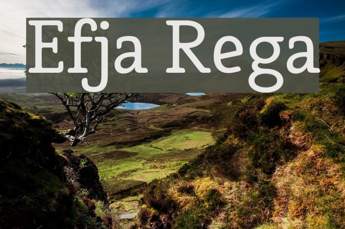Efja Regular Font examples