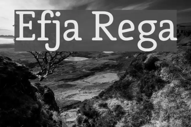 Efja Regular Example 2
