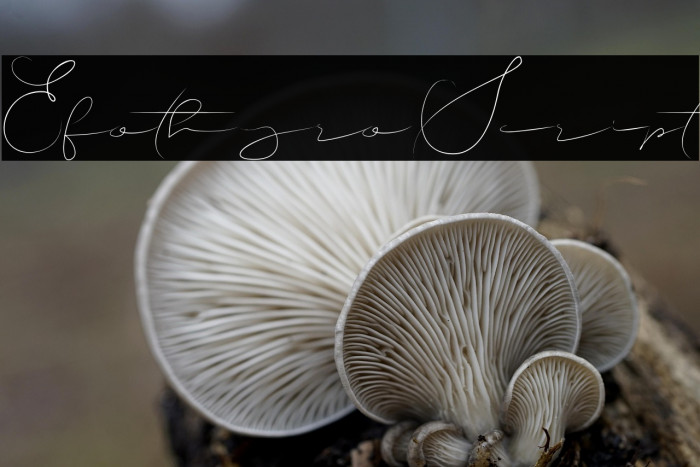 EfothyroScript Example 2