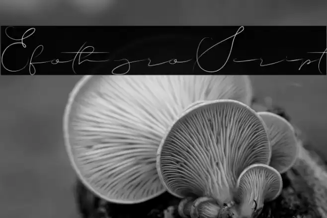 EfothyroScript Font examples