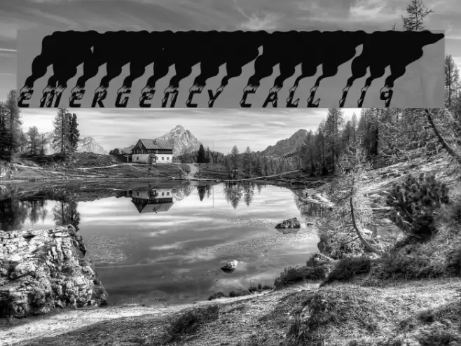 efEMERGENCY CALL 119 Font examples