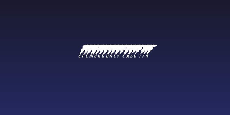 efEMERGENCY CALL 119 Social Header