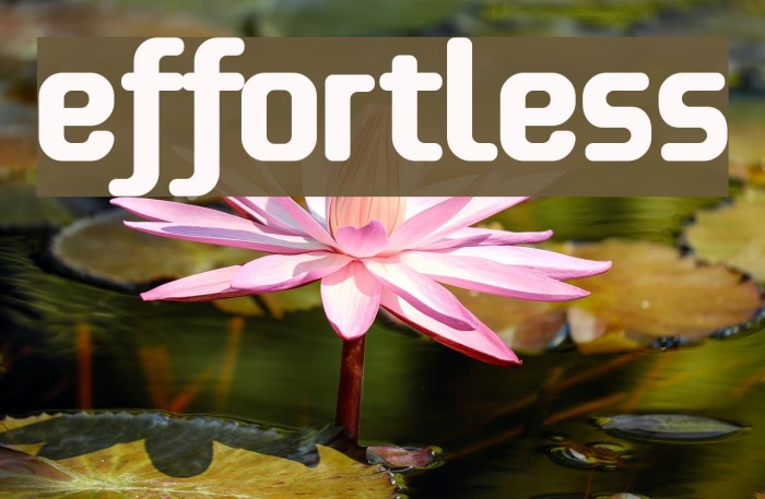 effortless Font examples