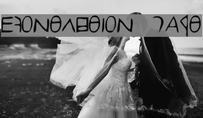 efontlution_part2 Font examples