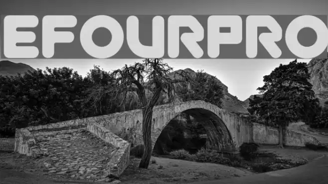 efourpro Example 2